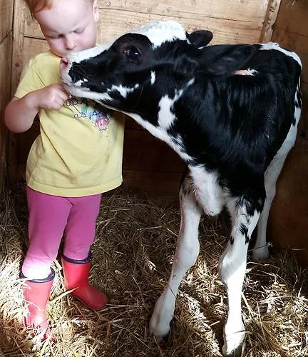 Séjour à la ferme Windischhof Velden am Wörther See