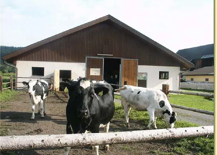 Windischhof Séjour à la ferme