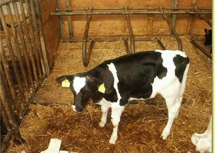 Windischhof Séjour à la ferme Velden am Wörther See